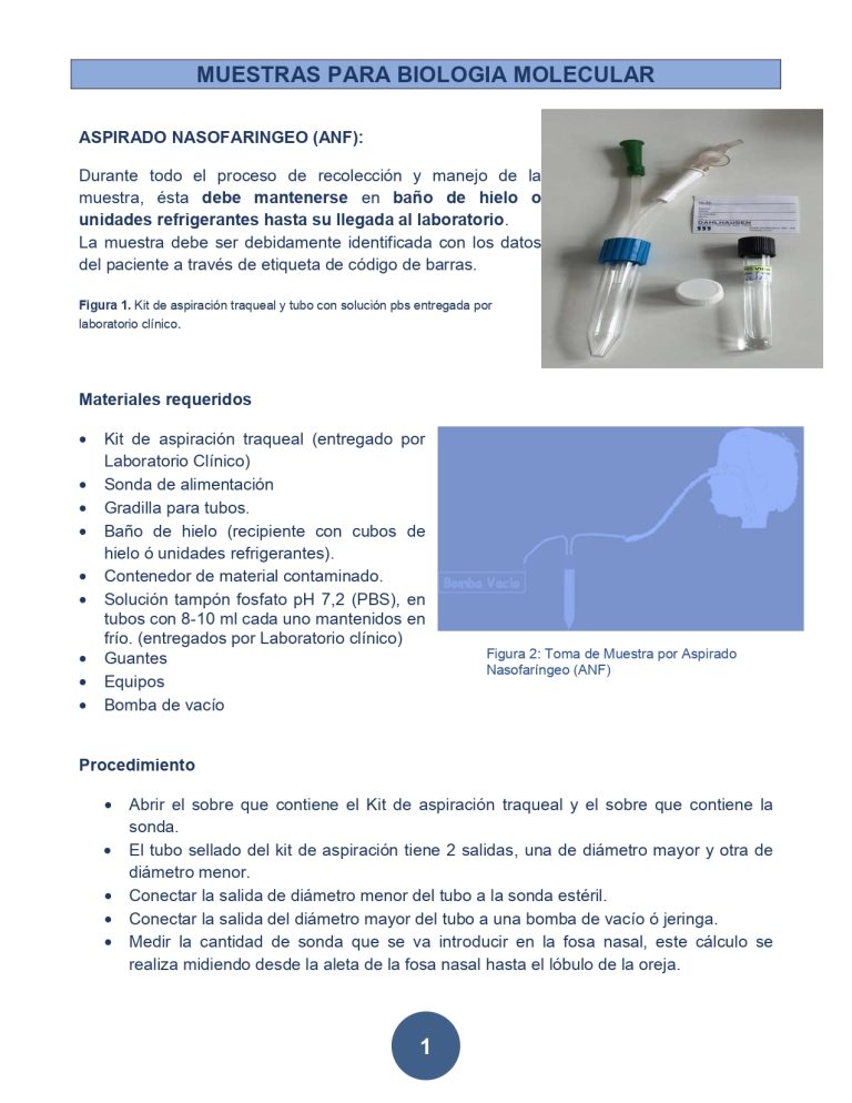 BIO MOLECULAR1_page-0001